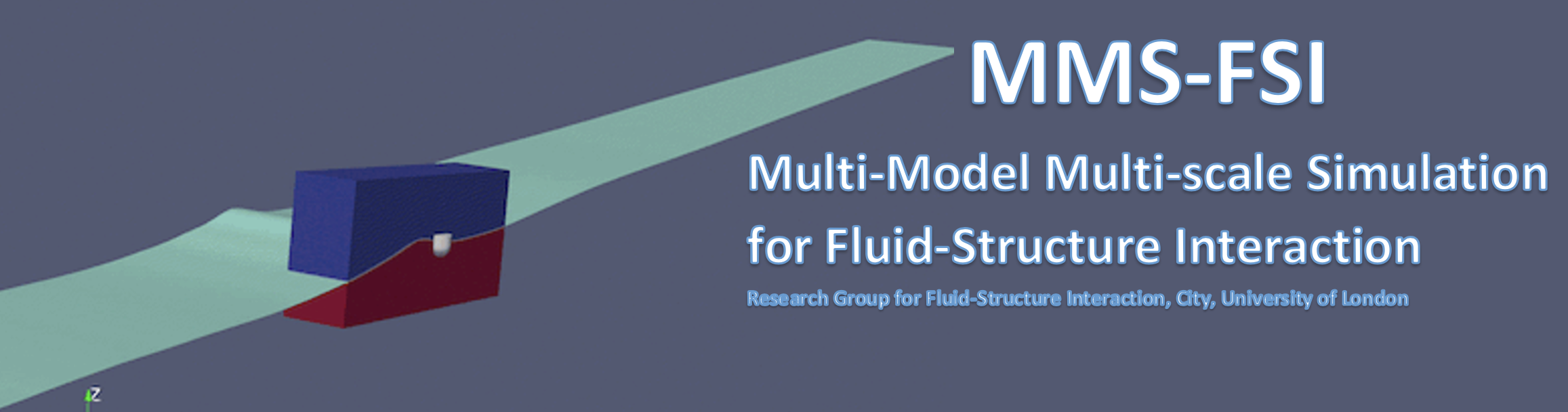 MMS-FSI